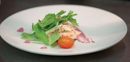 Plate with beautifully presented salmon salad